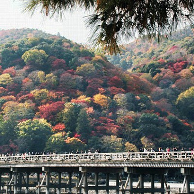 渡月橋