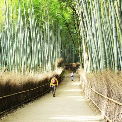 竹林の小径