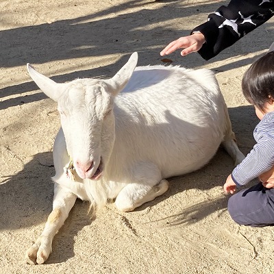 京都市動物園