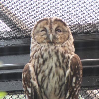 京都市動物園