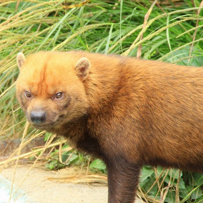 京都市動物園