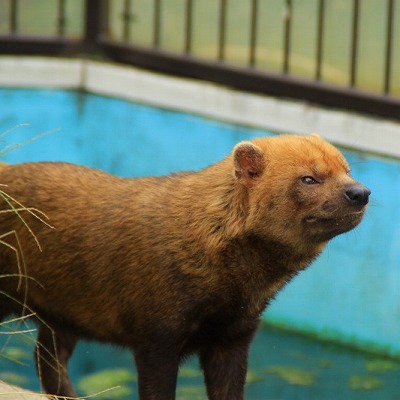 京都市動物園