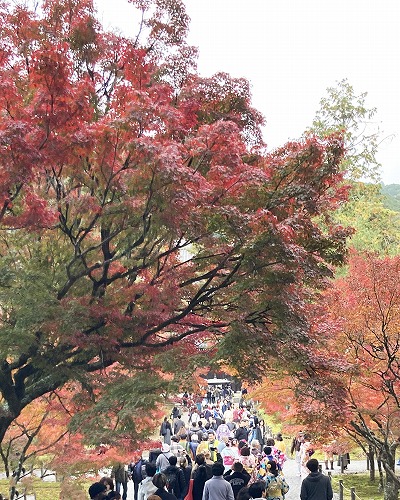 蹴上駅から永観堂への行き方