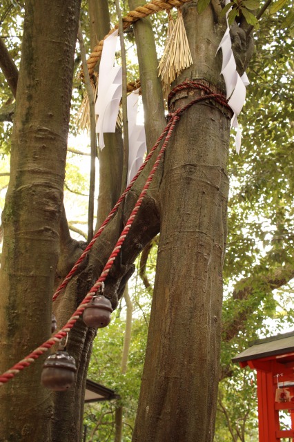 下鴨神社