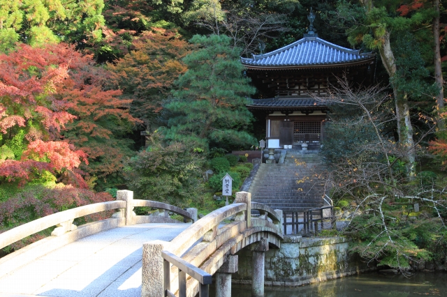 知恩院