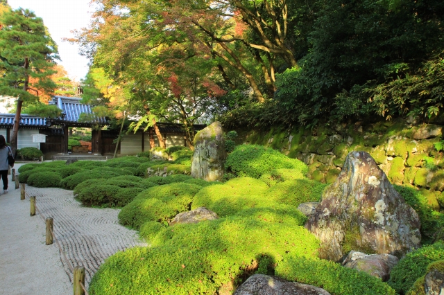 知恩院