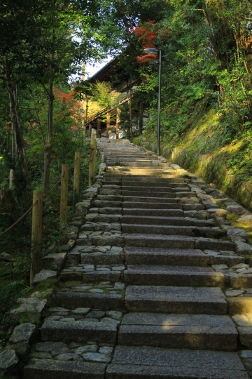 知恩院