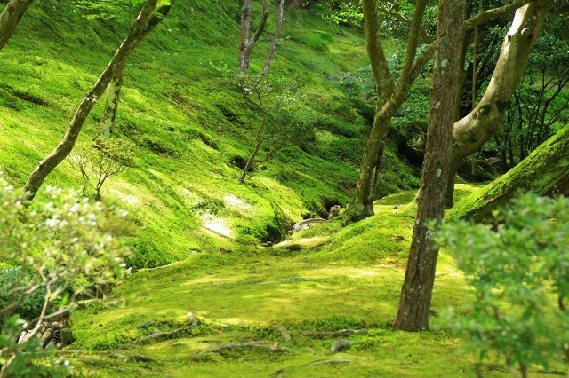 銀閣寺