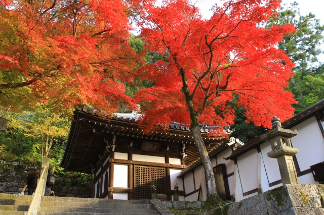 知恩院