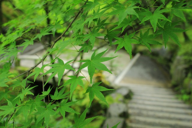 東福寺