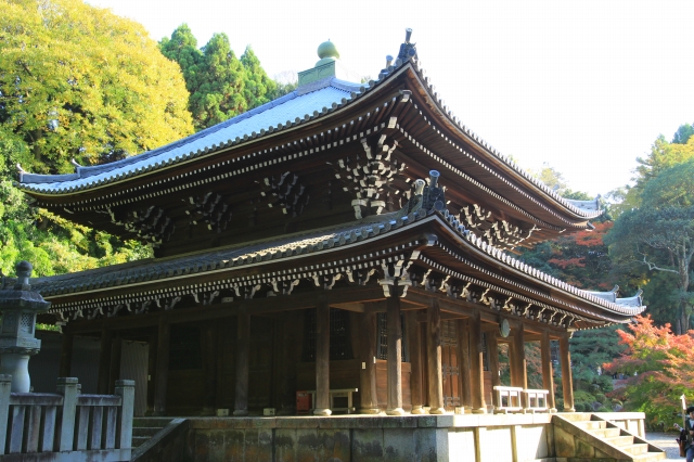 知恩院