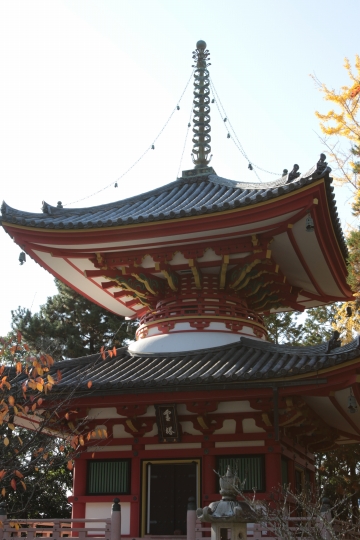 知恩院