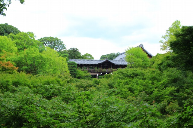 京都駅から東福寺への行き方