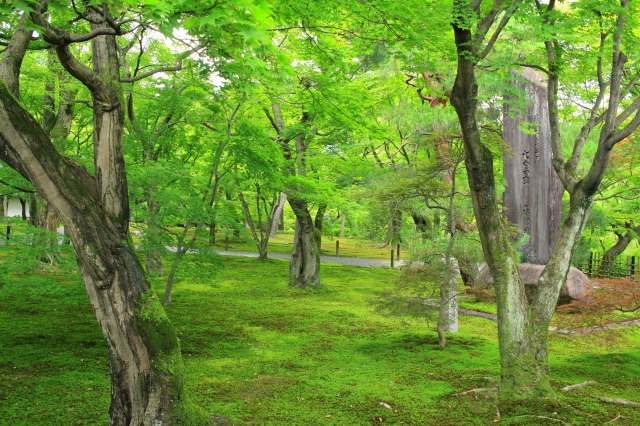 東福寺