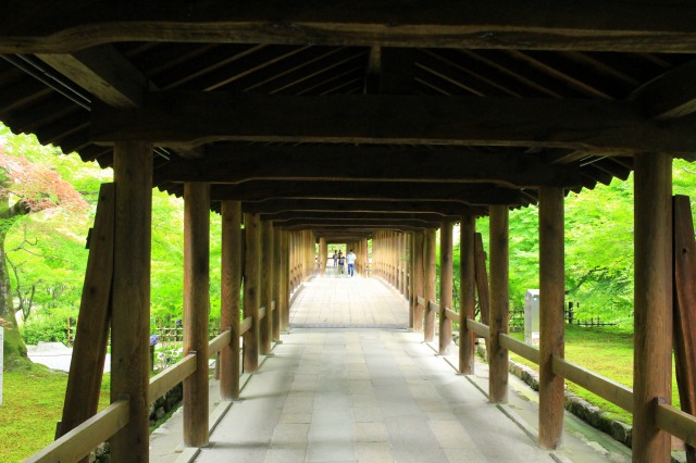東福寺