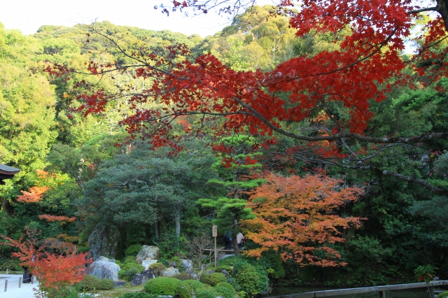 知恩院