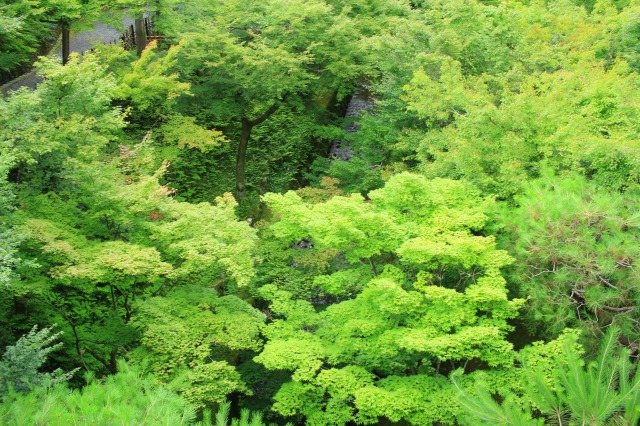東福寺